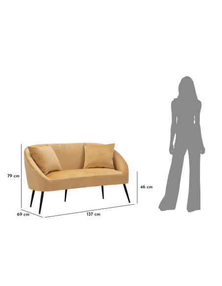 Canapé moderne chic Droit 2 places en Velours Marron Métal Noir Bois Browy 