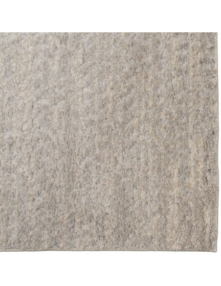 Grand Tapis douceur poils courts Rectangulaire 160x230 en Tissu Beige Sesma - 4