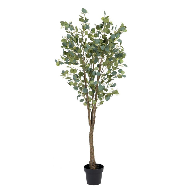 Plante artificielle Eucalyptus XL Hauteur 170 cm en Plastique Vert Avec pot - 1