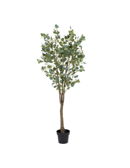 Plante artificielle Eucalyptus XL Hauteur 170 cm en Plastique Vert Avec pot Ixia - 1