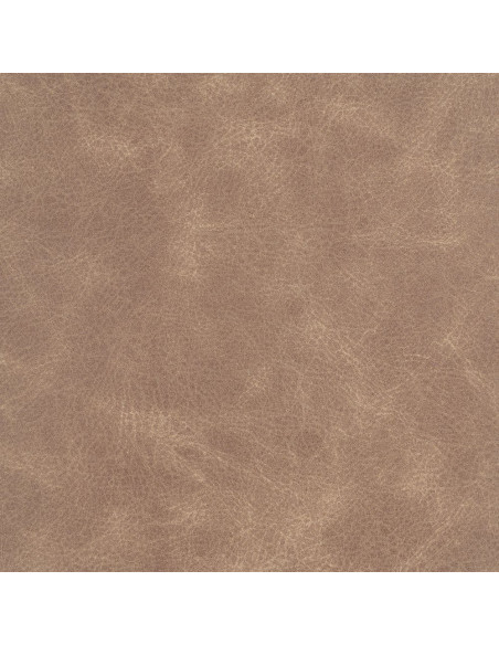 Chaise vintage chic en Polyuréthane Beige Métal Noir (Lot de 2) - 11