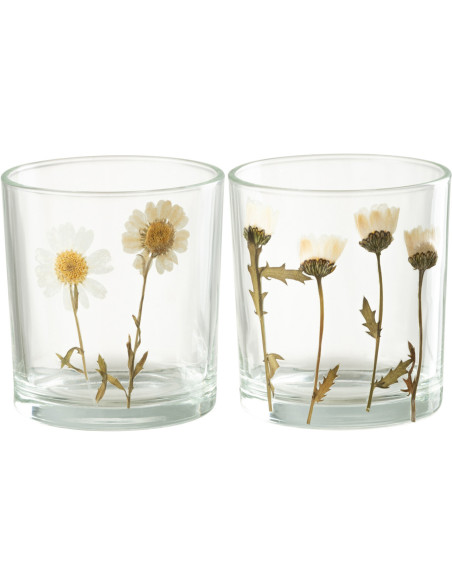 Photophore Cylindrique Diamètre 7 cm en Verre Transparent Motif marguerites Chrysan (Lot de 2) - 1