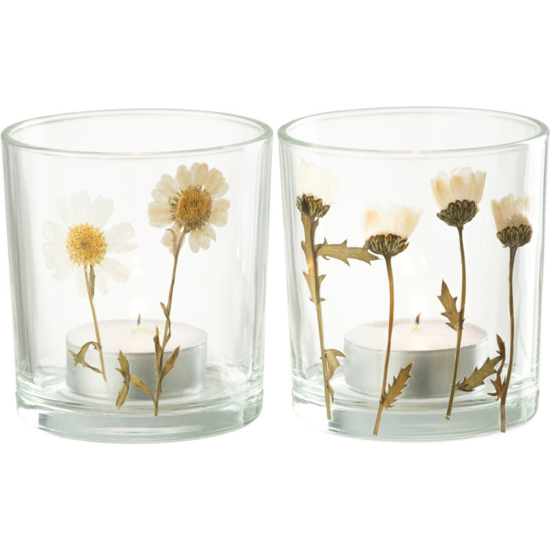 Photophore Cylindrique Diamètre 7 cm en Verre Transparent Motif marguerites Chrysan (Lot de 2) - 2