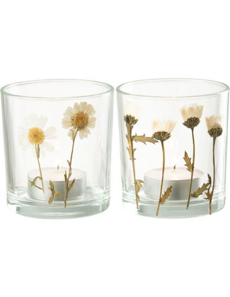 Photophore Cylindrique Diamètre 7 cm en Verre Transparent Motif marguerites Chrysan (Lot de 2) - 2