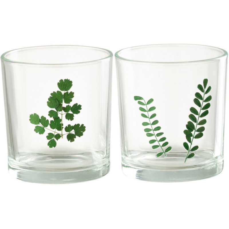 Photophore Cylindrique Diamètre 7 cm en Verre Transparent Vert Motif feuilles Ceres (Lot de 2) - 1