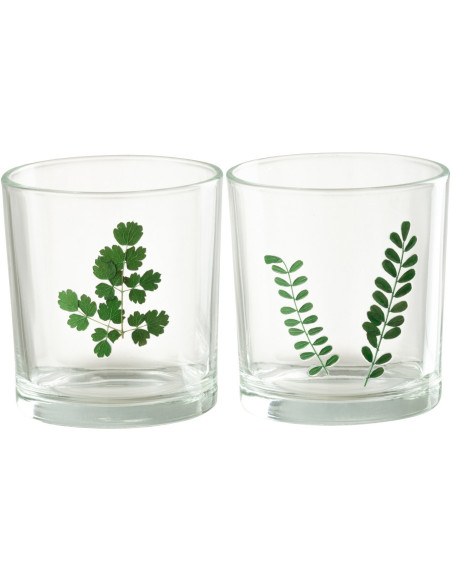 Photophore Cylindrique Diamètre 7 cm en Verre Transparent Vert Motif feuilles Ceres (Lot de 2) - 1