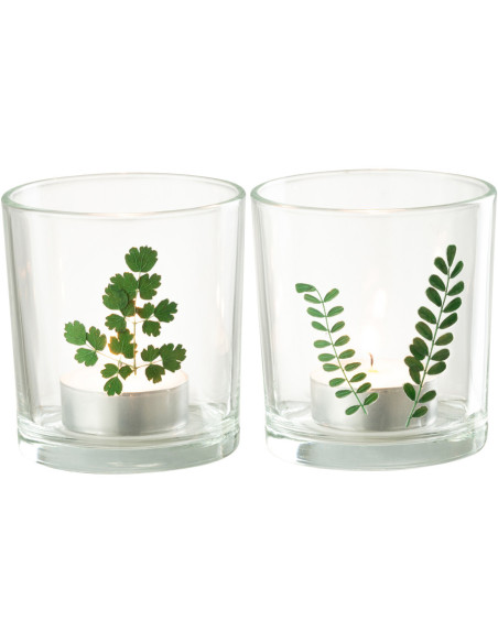 Photophore Cylindrique Diamètre 7 cm en Verre Transparent Vert Motif feuilles Ceres (Lot de 2) - 3