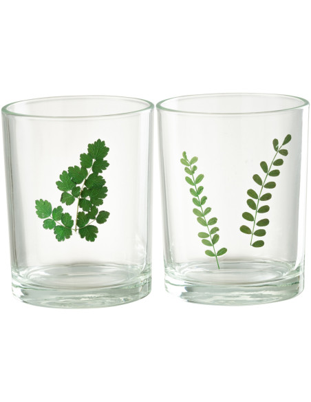 Photophore Cylindrique Diamètre 10 cm en Verre Transparent Vert Motif feuilles Ceres (Lot de 2) - 1