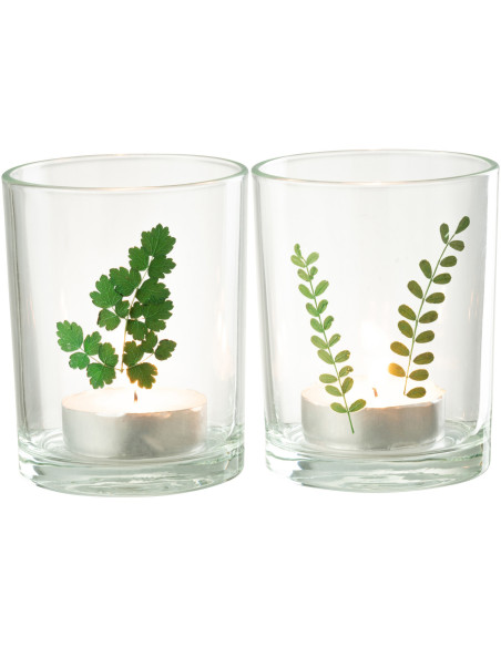 Photophore Cylindrique Diamètre 10 cm en Verre Transparent Vert Motif feuilles Ceres (Lot de 2) - 3