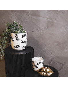 Petit Cache-pot original Rond Diamètre 11 cm en Céramique Blanc Noir Fuck - 2