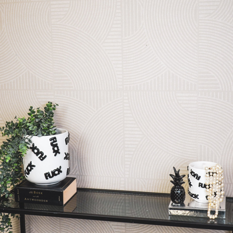 Petit Cache-pot original Rond Diamètre 11 cm en Céramique Blanc Noir Fuck - 3