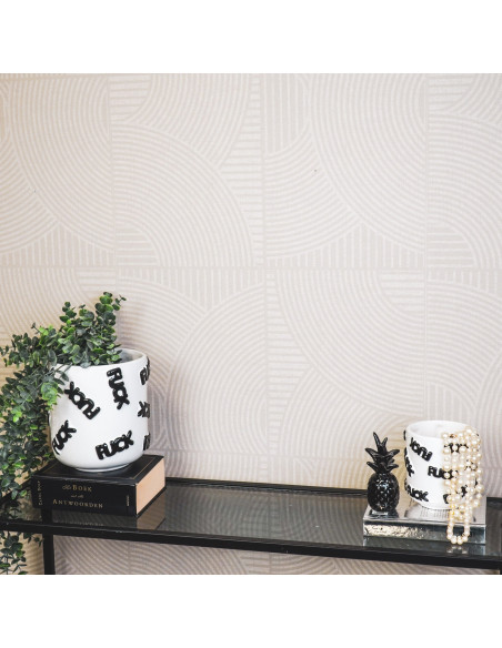 Petit Cache-pot original Rond Diamètre 11 cm en Céramique Blanc Noir Fuck - 3