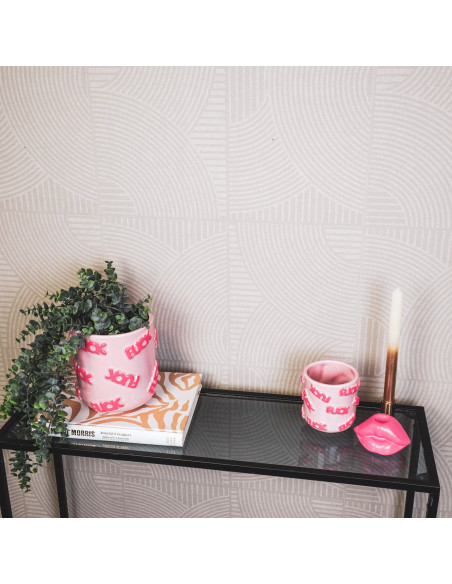 Petit Cache-pot original Rond Diamètre 11 cm en Céramique Rose Fuck - 3