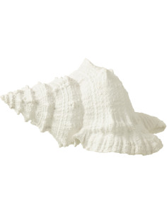 Statuette déco Coquillage 25 cm en Résine Blanc Nerti - 1