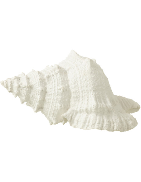 Statuette déco Coquillage 25 cm en Résine Blanc Nerti - 1