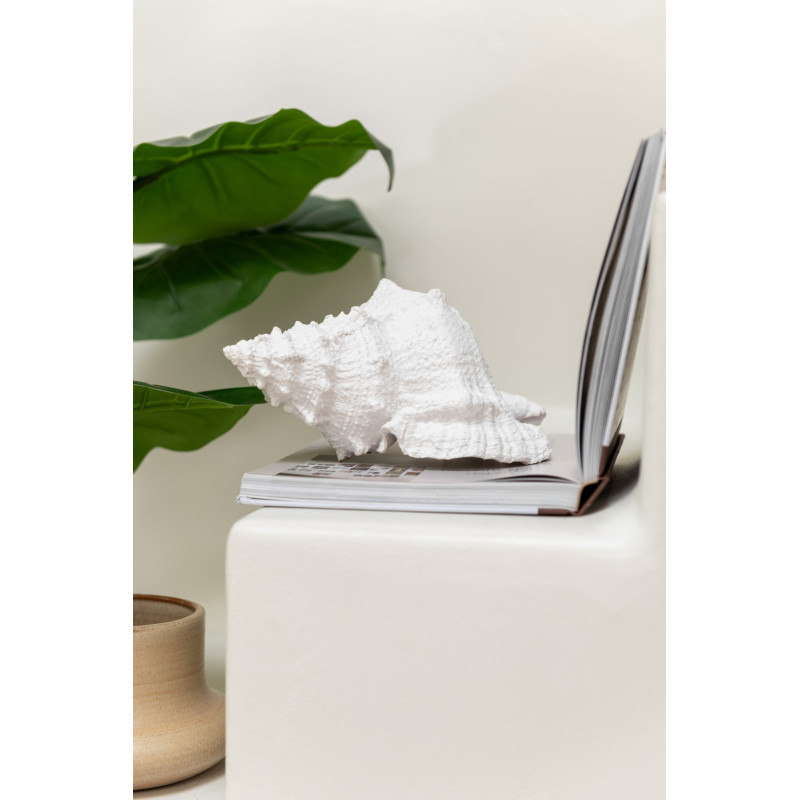 Statuette déco Coquillage 25 cm en Résine Blanc Nerti - 2
