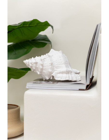 Statuette déco Coquillage 25 cm en Résine Blanc Nerti - 2