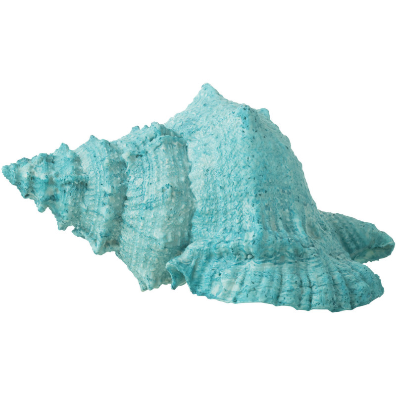 Statuette déco Coquillage 25 cm en Résine Azur Nerti - 1