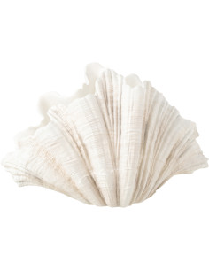 Vase Original Coquillage Hauteur 35 cm en Résine Blanc cassé Bibby - 1