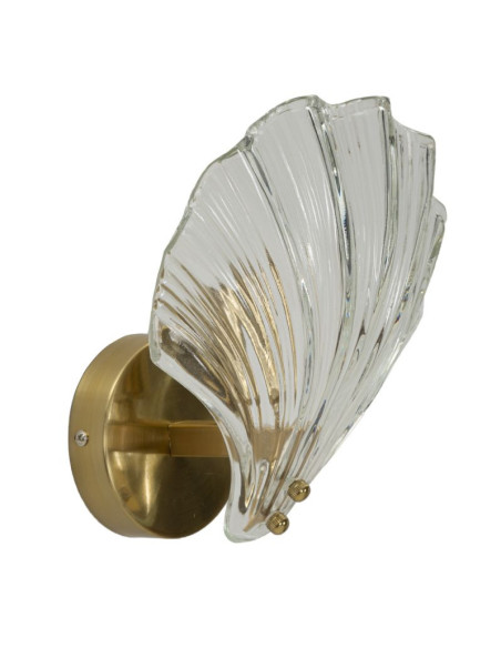 Applique murale moderne Coquillage Hauteur 22 cm en Verre Semi-transparent Métal Doré Shell 