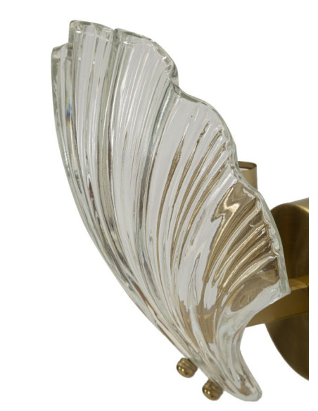 Applique murale moderne Coquillage Hauteur 22 cm en Verre Semi-transparent Métal Doré Shell 