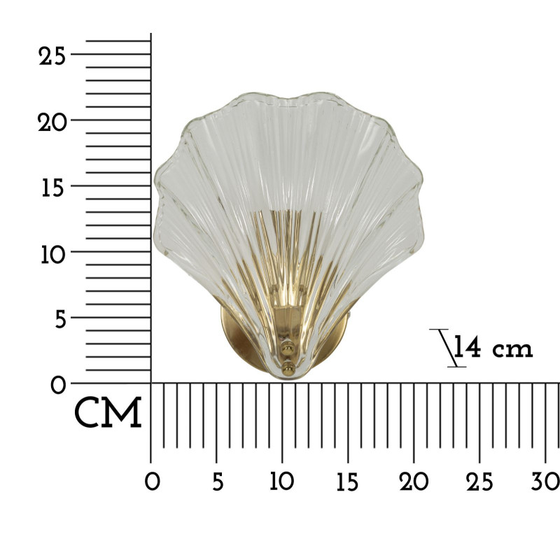 Applique murale moderne Coquillage Hauteur 22 cm en Verre Semi-transparent Métal Doré Shell 
