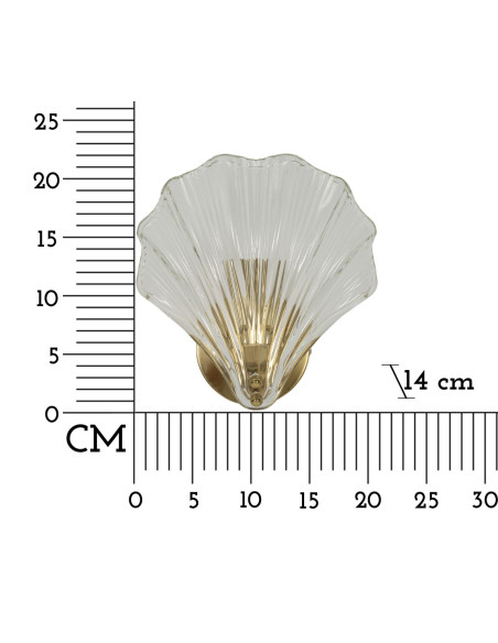 Applique murale moderne Coquillage Hauteur 22 cm en Verre Semi-transparent Métal Doré Shell 