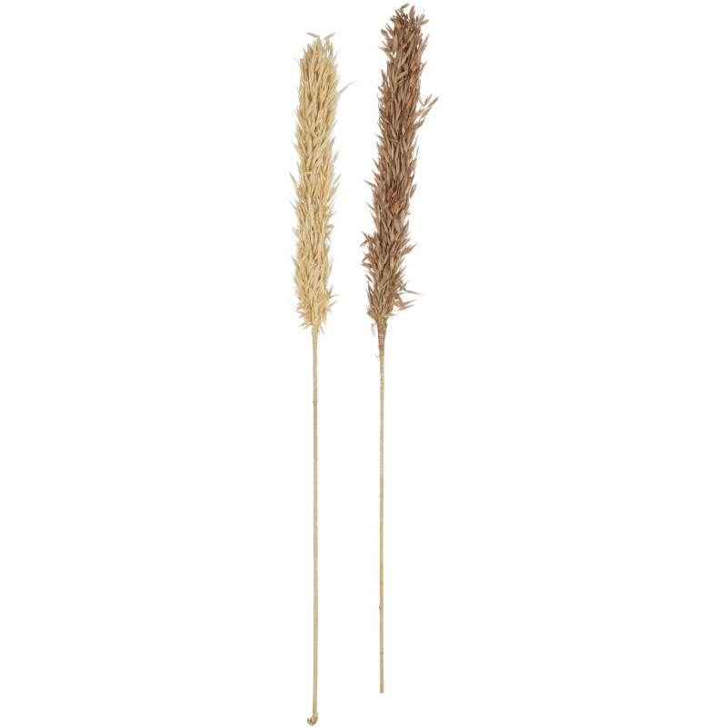 Bouquet artificiel 2 brins Hauteur 95 cm en Feuilles séchées Naturel - 2