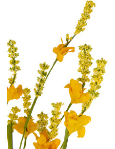 Fleur artificielle Forsythia Hauteur 55 cm en Plastique Jaune Vert J-Line - 2