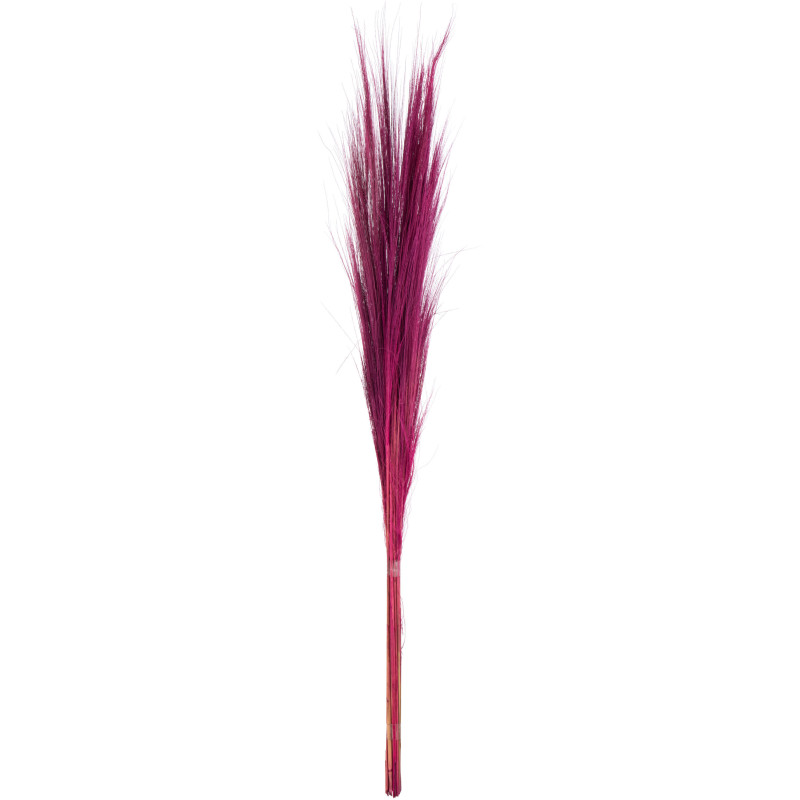 Bouquet de 15 brins XL Hauteur 150 cm en Herbe Fuchsia Dasi - 1