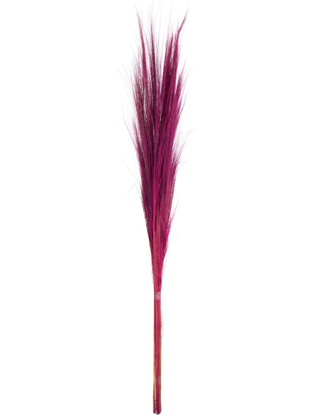 Bouquet de 15 brins XL Hauteur 150 cm en Herbe Fuchsia Dasi - 1