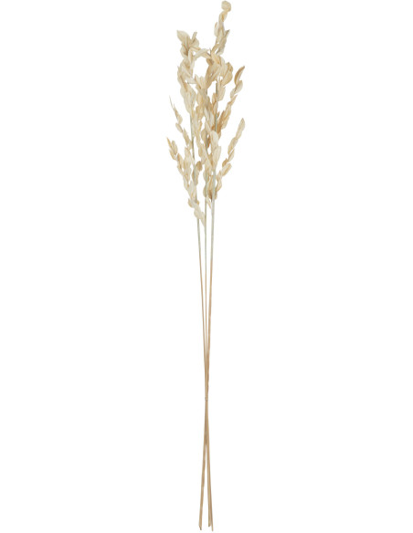 Bouquet artificiel Hauteur 95 cm en Feuilles séchées Naturel - 2