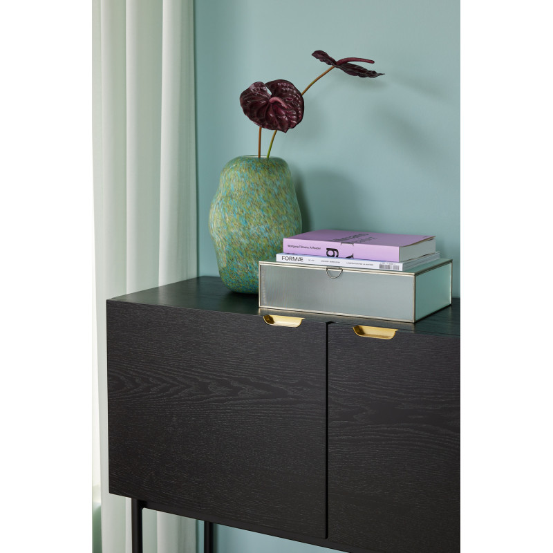 Console d'entrée moderne Rectangulaire 2 portes en Bois de frêne Noir Métal Doré Norm - 7