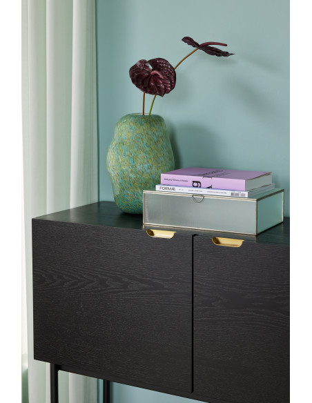 Console d'entrée moderne Rectangulaire 2 portes en Bois de frêne Noir Métal Doré Norm - 7