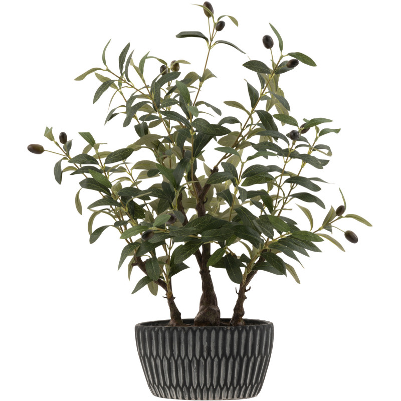Plante artificielle Olivier Hauteur 60 cm en Plastique Vert avec pot ciment - 1