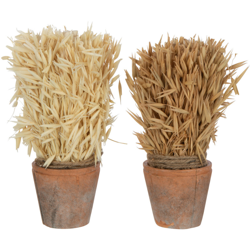 Plante artificielle Récolte Hauteur 20 cm avec pot en Terre cuite Marron (Lot de 2) - 1