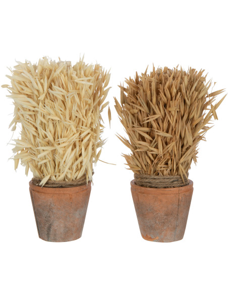 Plante artificielle Récolte Hauteur 20 cm avec pot en Terre cuite Marron (Lot de 2) - 1