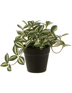 Plante artificielle Tradescantia Misère Hauteur 17 cm en Plastique Vert avec pot - 1