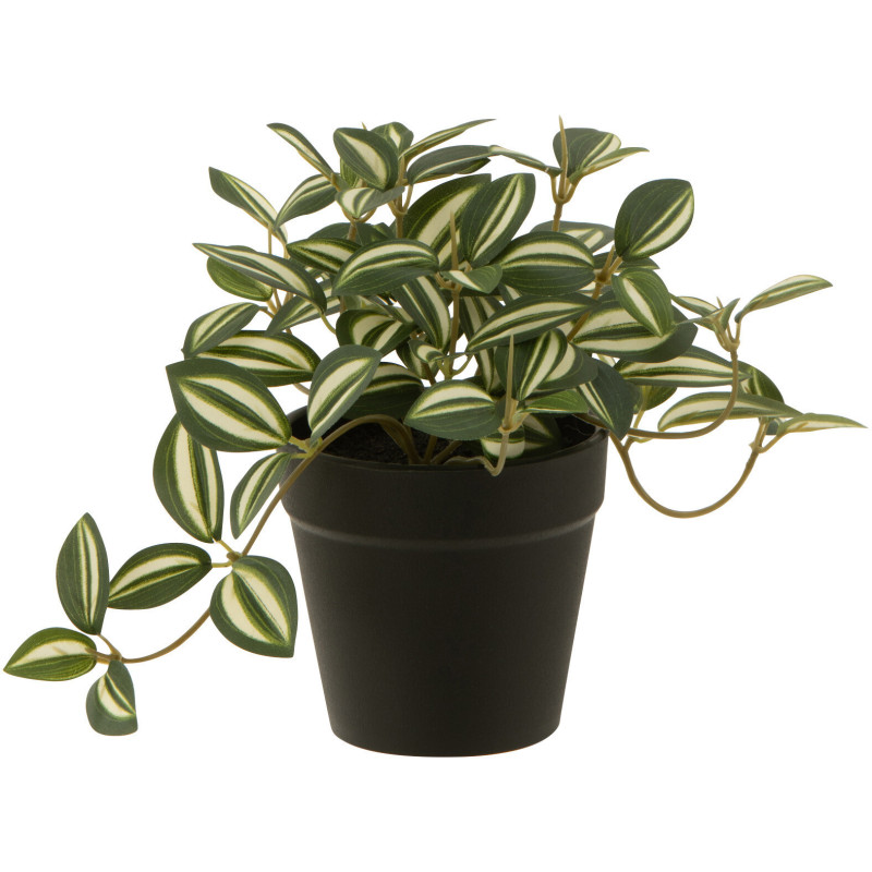 Plante artificielle Tradescantia Misère Hauteur 17 cm en Plastique Vert avec pot - 1