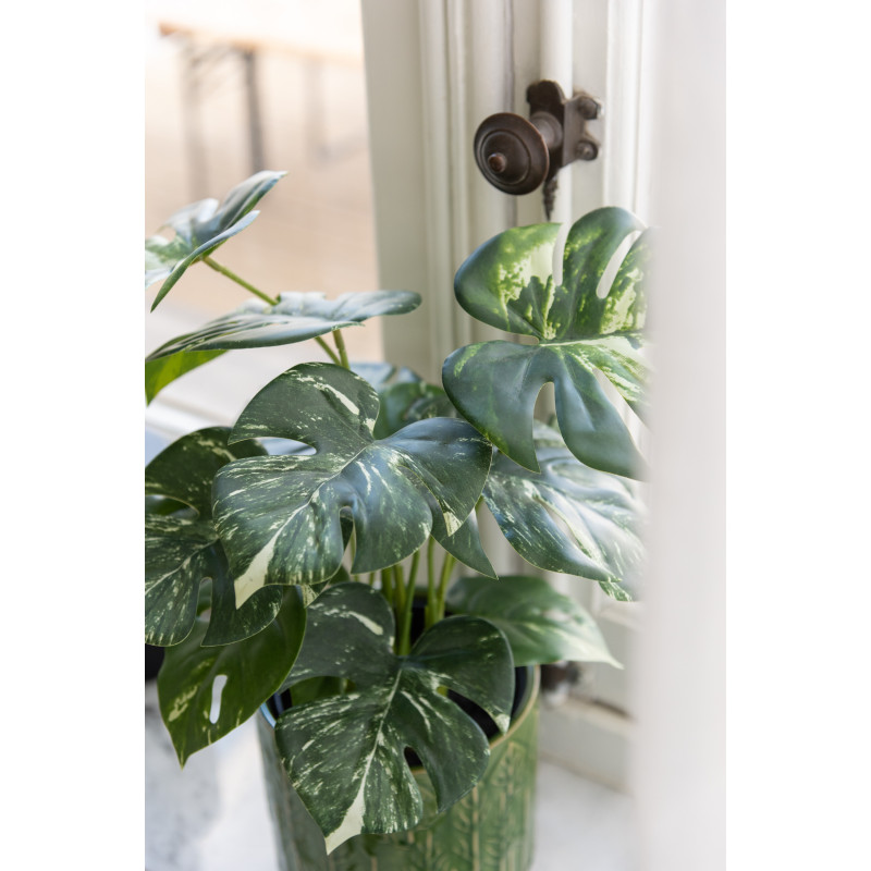Plante artificielle Monstera Hauteur 40 cm en Plastique Vert avec pot - 2