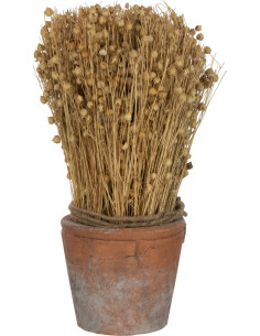Plante artificielle Lin séché Hauteur 27 cm avec pot en Terre cuite Marron - 1
