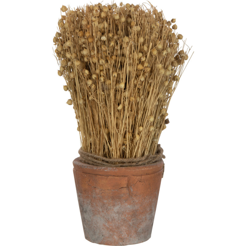 Plante artificielle Lin séché Hauteur 27 cm avec pot en Terre cuite Marron - 1