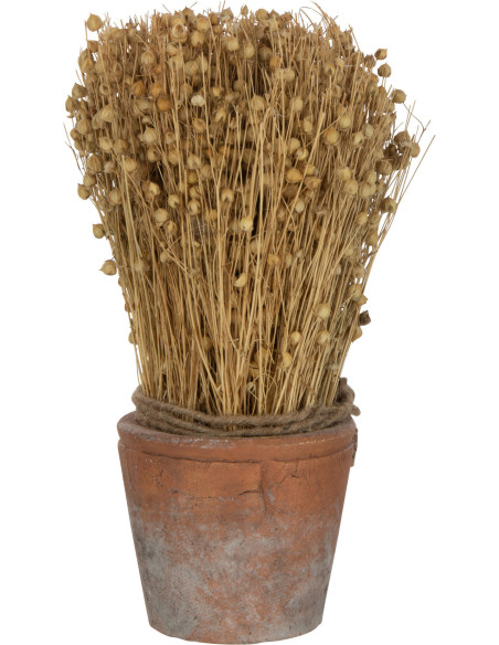 Plante artificielle Lin séché Hauteur 27 cm avec pot en Terre cuite Marron - 1
