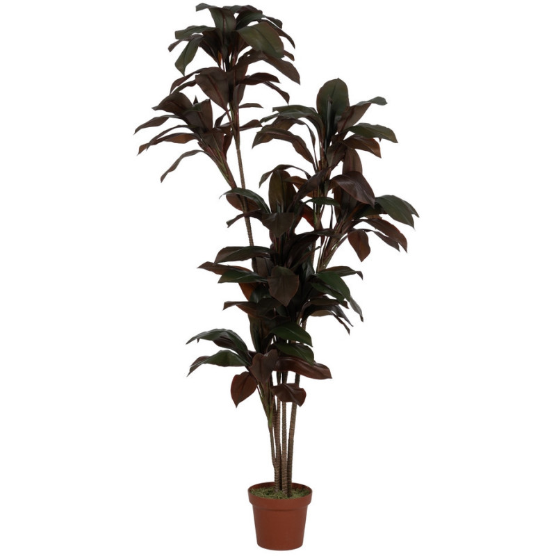Grande plante artificielle réaliste Cordyline 170 cm en Plastique Vert Marron - 1