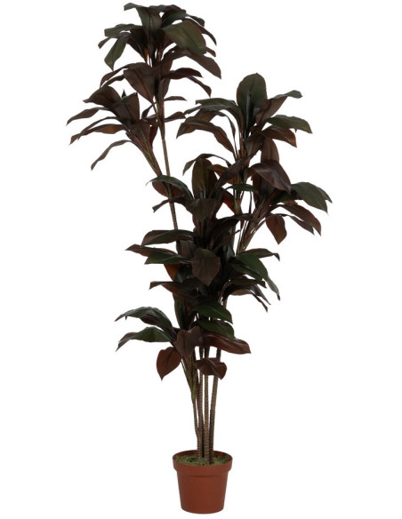 Grande plante artificielle réaliste Cordyline 170 cm en Plastique Vert Marron - 1