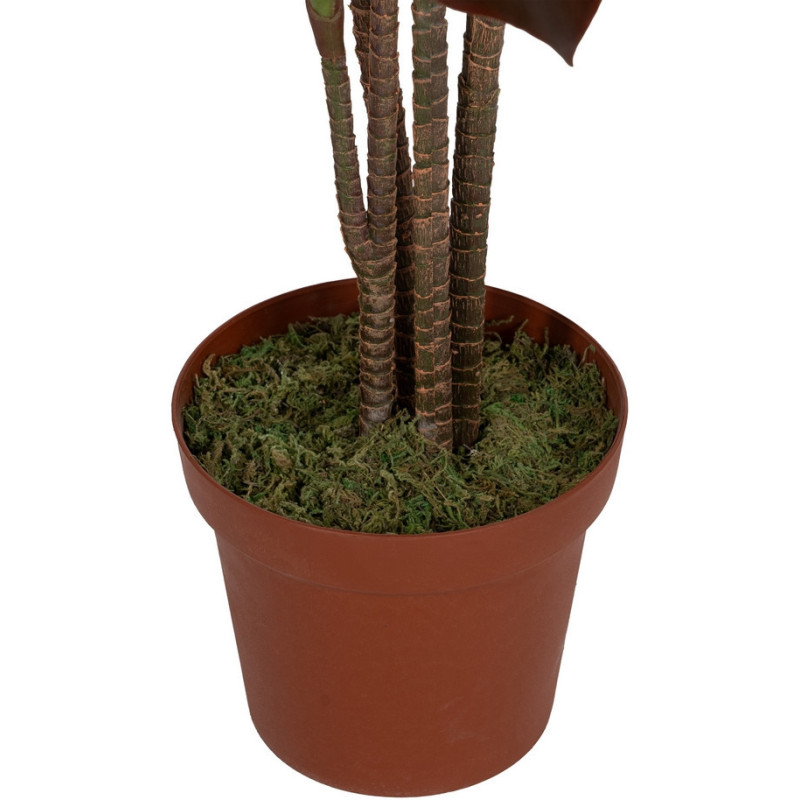 Grande plante artificielle réaliste Cordyline 170 cm en Plastique Vert Marron - 4