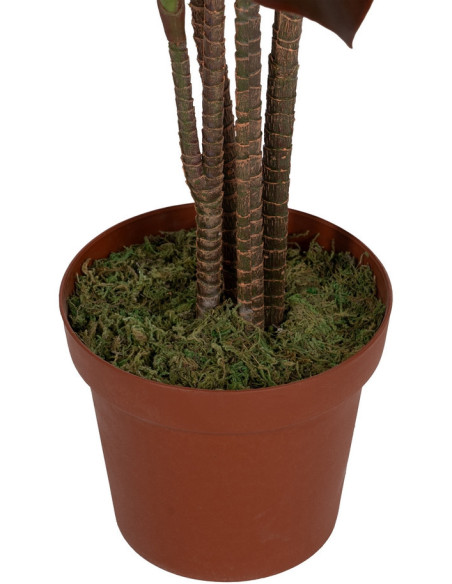 Grande plante artificielle réaliste Cordyline 170 cm en Plastique Vert Marron - 4