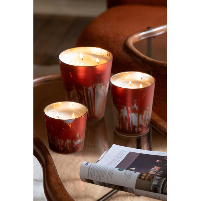 Petite Bougie parfumée Senteur Boisée Grape Wood 50 heures Photophore motif forêt en Cire de soja Verre Rouge Noa - 2