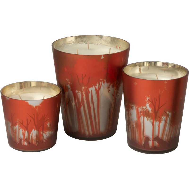 Grande Bougie parfumée Senteur Boisée Grape Wood 95 heures Photophore motif forêt en Cire de Soja Verre Rouge Noa - 3