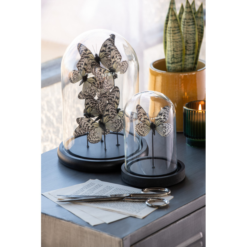 Cloche décorative Papillons Hauteur 26 cm en Verre Noir Blanc Papillora - 2